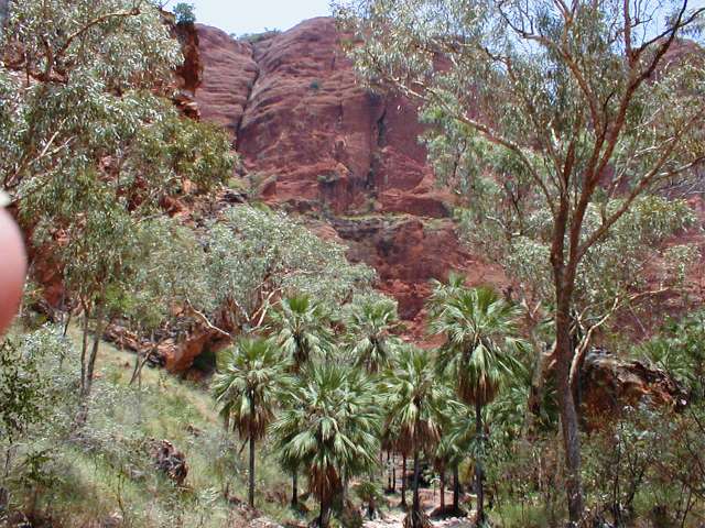 Australien Bali 2000.JPG